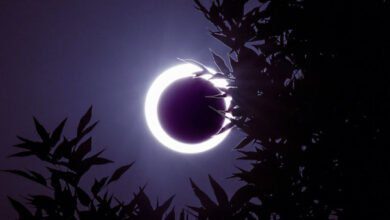 Минута отдыха Когда в 2022 году жителей Земли ожидают солнечные и лунные затмения Интересное  Минута отдыха Когда в 2022 году жителей Земли ожидают солнечные и лунные затмения Интересное