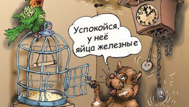 Минута отдыха Крепкая любовь Анекдоты 