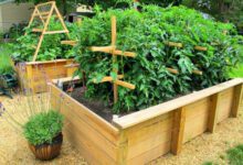 Минута отдыха Каких рекомендаций придерживаться, чтобы сделать удобную сэндвич-грядку для ранних посадок Интересное 