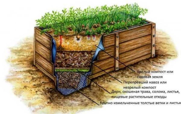 Минута отдыха Каких рекомендаций придерживаться, чтобы сделать удобную сэндвич-грядку для ранних посадок Интересное  