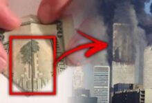 Минута отдыха Какие 7 тайн скрывают долларовые купюры? Интересное 