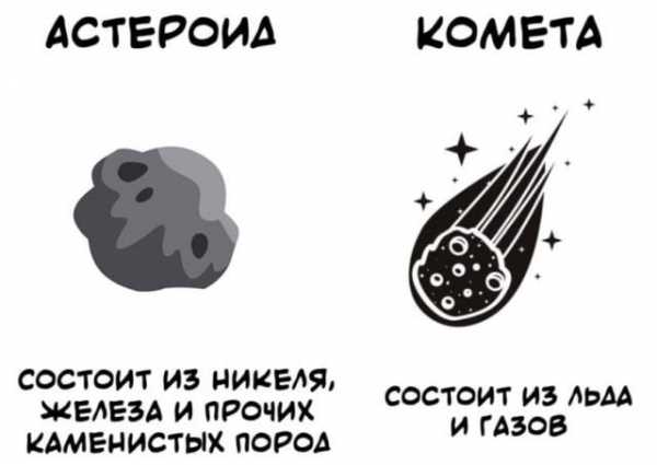 Минута отдыха Короткие любопытные факты на все случаи жизни Интересное  