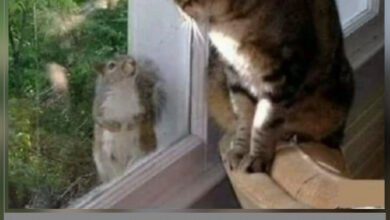 Минута отдыха Мем №1255647 Анекдоты 