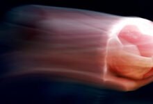 Минута отдыха Российские гандболистки одержали вторую победу подряд в отборе на ЧЕ Спорт 