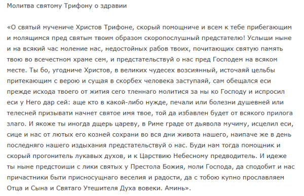 День исцеляющих молитв 28 декабря 2021 года: молитвы, запреты и приметы праздника Трифонов день