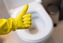 Минута отдыха Что происходит, если на ночь бросать в унитаз дольку чеснока или его настой Интересное 