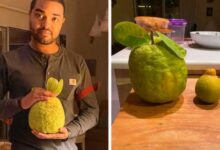 Минута отдыха 16 удивительных «инопланетных» вещей, найденных на Земле Интересное 