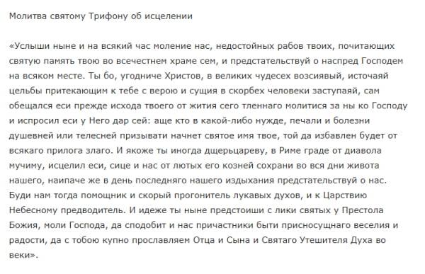 День исцеляющих молитв 28 декабря 2021 года: молитвы, запреты и приметы праздника Трифонов день