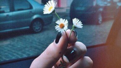 Минута отдыха Повзрослеть — означает научиться отпускать Интересное 