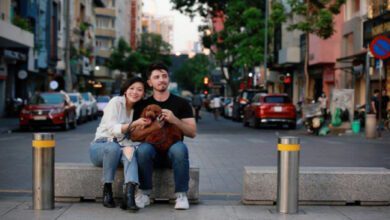 Минута отдыха Как собака выбирает хозяина: на какие признаки животное обратит внимание Животные  Минута отдыха Как собака выбирает хозяина: на какие признаки животное обратит внимание Животные