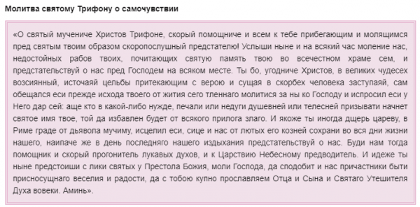 День исцеляющих молитв 28 декабря 2021 года: молитвы, запреты и приметы праздника Трифонов день