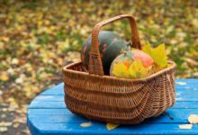 Минута отдыха Запрещенные дни для посадки в сентябре 2021 года по лунному календарю Интересное 