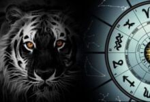 Минута отдыха Что должны успеть сделать знаки зодиака до наступления Нового 2022 года Интересное 