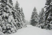 Минута отдыха Почему снег белый? Интересное 