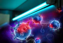 Минута отдыха Почему бактерии и микробы боятся ультрафиолета? Интересное 