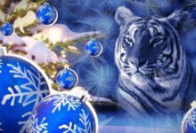 Минута отдыха Астрологический прогноз и гороскоп на 2022 год Тигра Интересное 