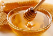 Минута отдыха Делают ли осы и шмели мёд и почему мы не едим его? Интересное 