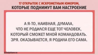 Минута отдыха 17 открыток с искрометным юмором, которые поднимут вам настроение Интересное  Минута отдыха 17 открыток с искрометным юмором, которые поднимут вам настроение Интересное