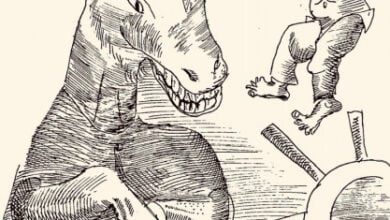 Минута отдыха Буриданов осел:попытка не пытка Анекдоты 