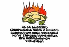 Минута отдыха Подборка коротких и интересных фактов на все случаи жизни Интересное 