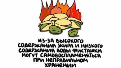Минута отдыха Подборка коротких и интересных фактов на все случаи жизни Интересное  Минута отдыха Подборка коротких и интересных фактов на все случаи жизни Интересное