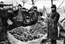 Минута отдыха Интересные факты о грибном рынке в Москве Интересное 