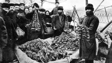 Минута отдыха Интересные факты о грибном рынке в Москве Интересное 