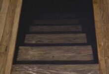 Минута отдыха 15 фото, как иллюстрация легкого безумия нашего мира Интересное 