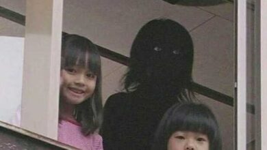 Минута отдыха 17 фото из серии «Жутко, мерзко, но интересно» Интересное 