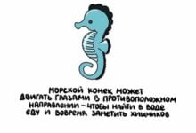 Минута отдыха Интересные и короткие факты на все случаи жизни Интересное 