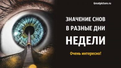 Минута отдыха Значение снов в разные дни недели. Очень интересно! Интересное  Минута отдыха Значение снов в разные дни недели. Очень интересно! Интересное