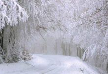 Минута отдыха Как жениться на преподавательнице Интересное 