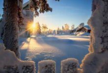 Минута отдыха Астрологический прогноз и гороскоп на февраль месяц 2022 года Интересное 