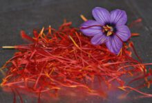 Минута отдыха Интересные факты о шафране Интересное 