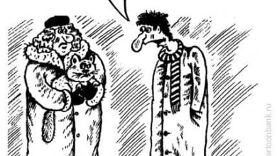 Минута отдыха Искреннее недоумение Анекдоты 