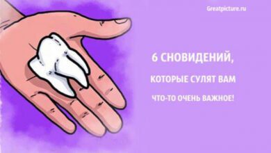Минута отдыха 6 сновидений, которые сулят вам что-то очень важное! Интересное  Минута отдыха 6 сновидений, которые сулят вам что-то очень важное! Интересное