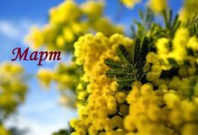 Минута отдыха Астрологический прогноз и гороскоп на март месяц 2022 года Интересное 