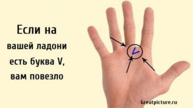 Минута отдыха Если на вашей ладони есть буква V, вам повезло Интересное  Минута отдыха Если на вашей ладони есть буква V, вам повезло Интересное
