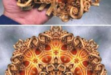 Минута отдыха Ужасненькие бестии из морской бездны от Романа Федорцева Интересное 