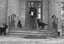 Минута отдыха Takflix випустив добірку фільмів незалежного режисера, що врятувався з Маріуполя Знаменитости 