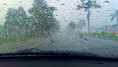 Минута отдыха Почему запотевают стекла в машине с нетрезвыми пассажирами? Интересное  Минута отдыха Почему запотевают стекла в машине с нетрезвыми пассажирами? Интересное