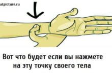 Минута отдыха Вот что будет если вы нажмете на эту точку своего тела Интересное 