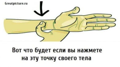 Минута отдыха Вот что будет если вы нажмете на эту точку своего тела Интересное  Минута отдыха Вот что будет если вы нажмете на эту точку своего тела Интересное