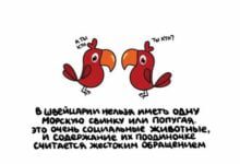 Минута отдыха Короткие и интересные факты на все случаи жизни Интересное 