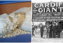 Минута отдыха Спор о Библии, который стал виновником одной из самых крупных мистификаций Интересное 