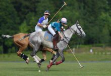 Минута отдыха Конное поло — игра аристократов Интересное 