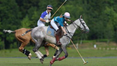 Минута отдыха Конное поло — игра аристократов Интересное 