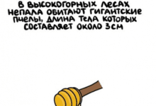 Минута отдыха Мем №1323991 Анекдоты 