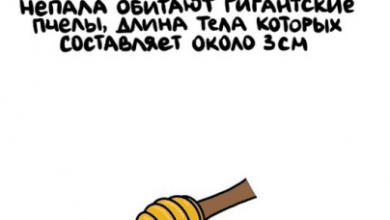 Минута отдыха Мем №1323991 Анекдоты 