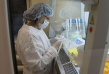 Минута отдыха Роспотребнадзор предоставит Туркменистану тесты для выявления оспы обезьян Интересное 